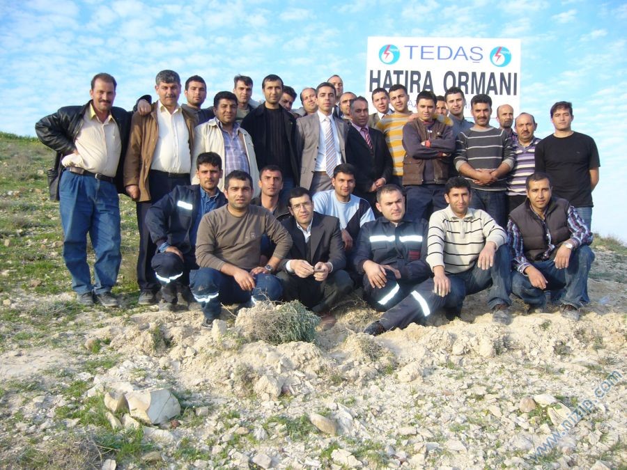 nizip tedaş hatıra ormanı.. 