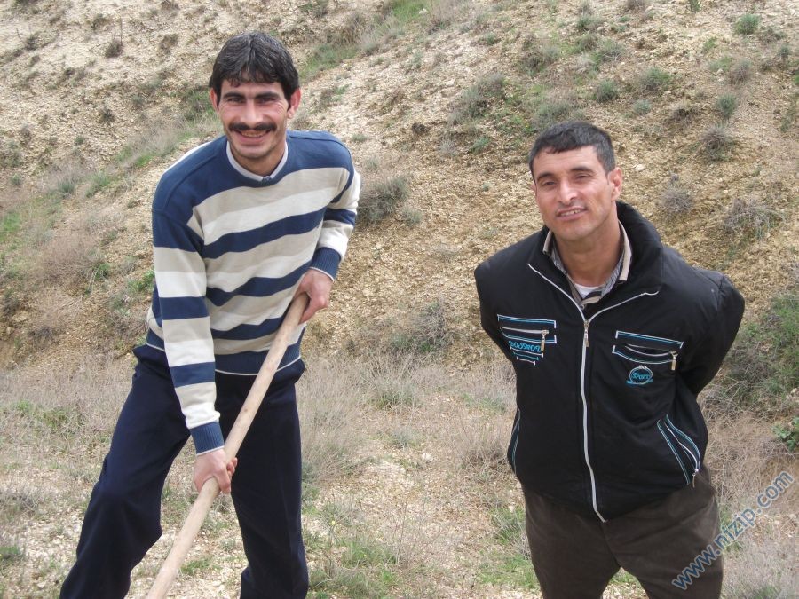 NİBED 