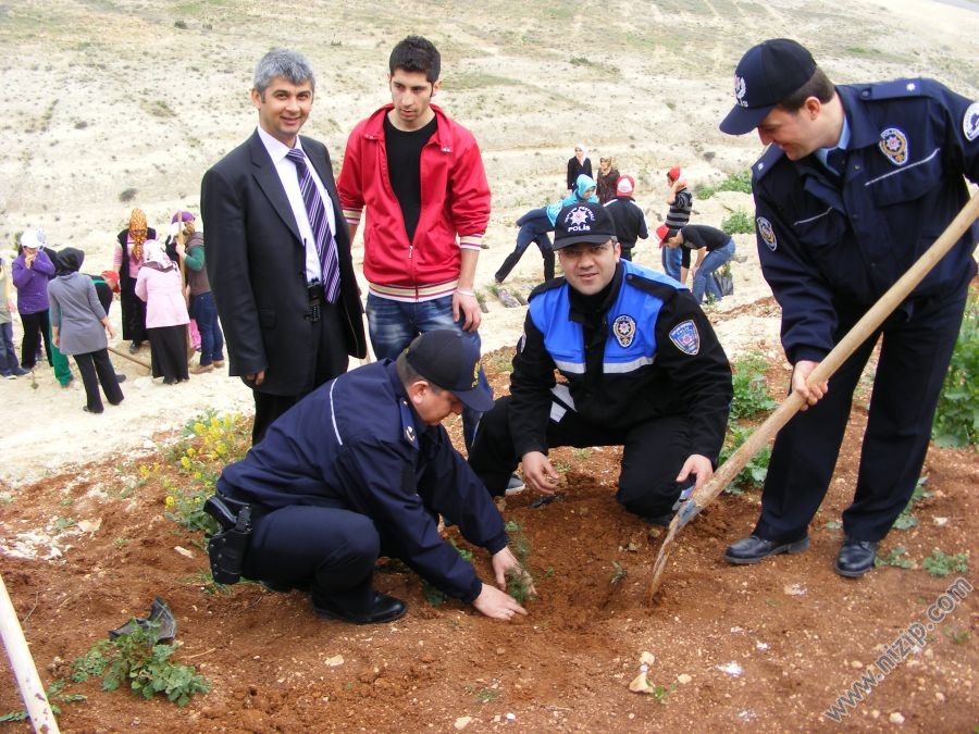 2010 ağaç dikme 