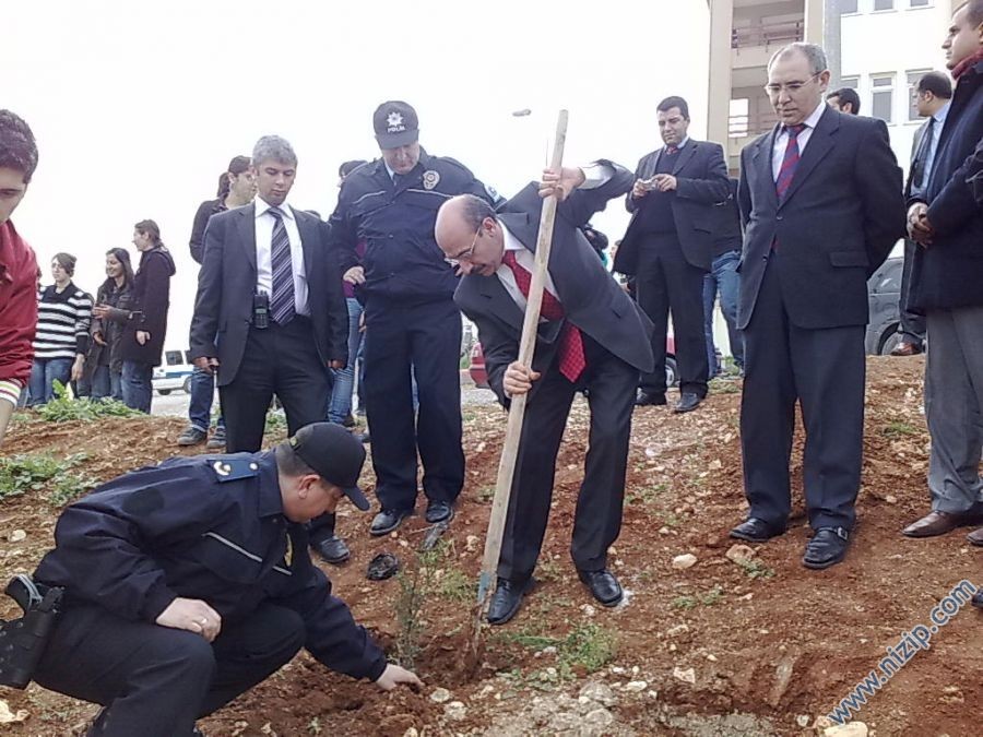 2010 agaclandırma kampanyası 