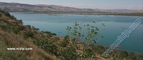 zeugma alanı 