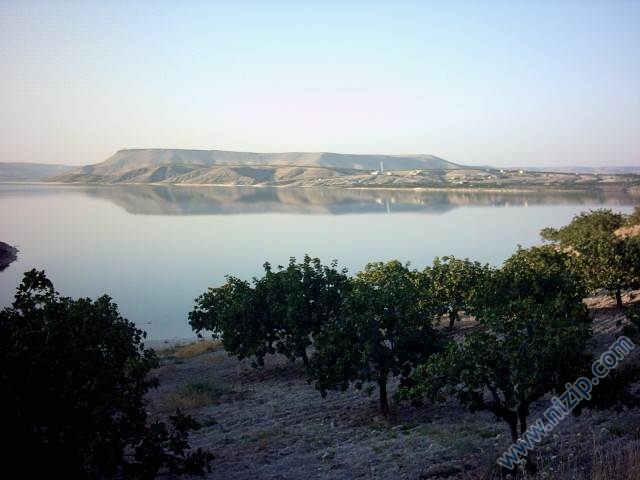 zeugma alanı 