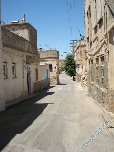 Nizip'in saha mah. 
