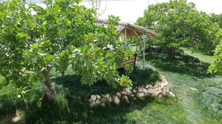 Saklı Bahçe Piknik alanı 