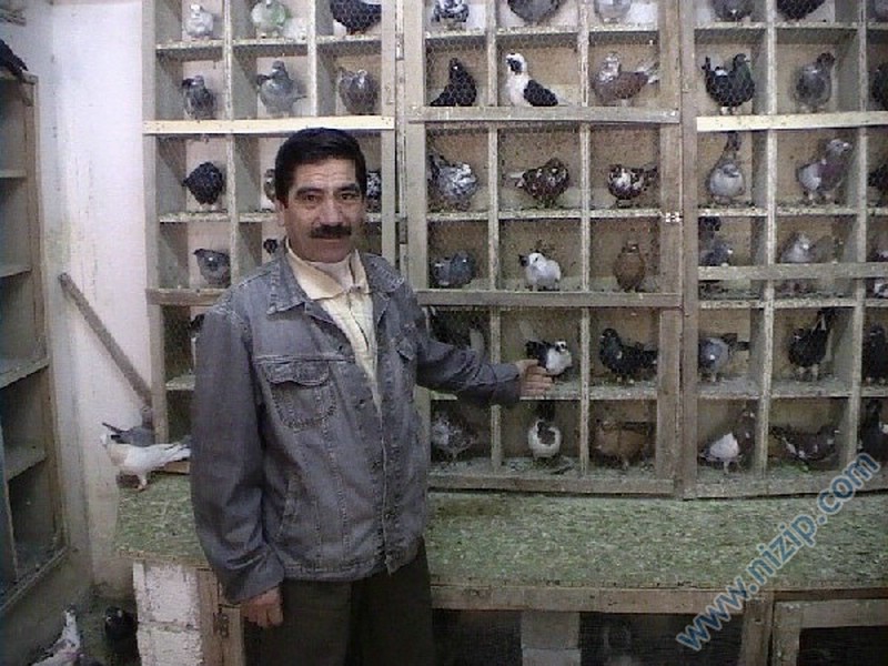 kuşş 