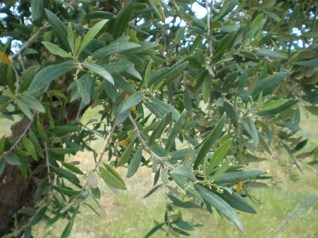 P4190257 