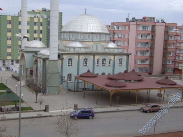 nizipli olmak başka 