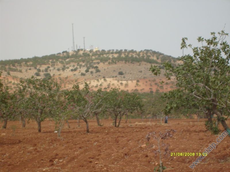 taşbaş 