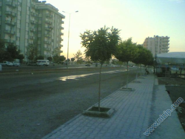 nizip 