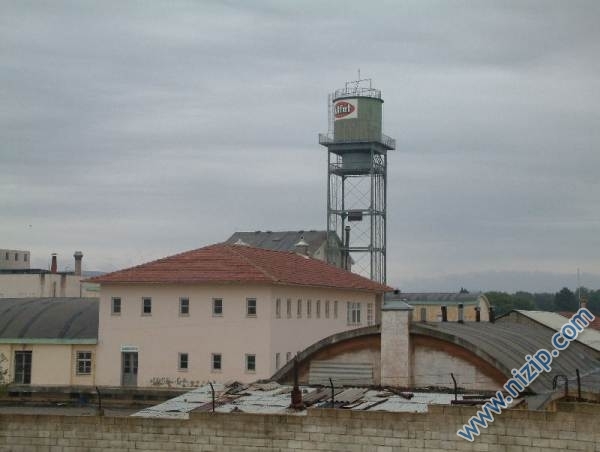 Nizipten resimler 