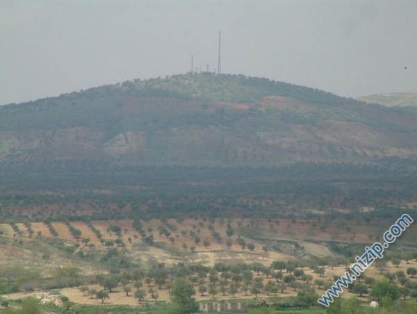 taşbaş dağı 