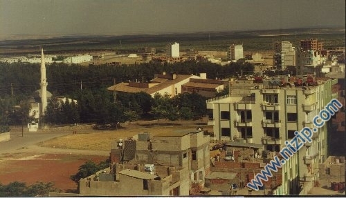 nizip 