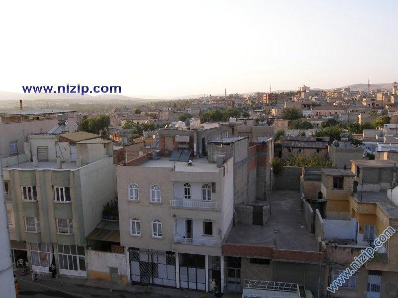 nizip 