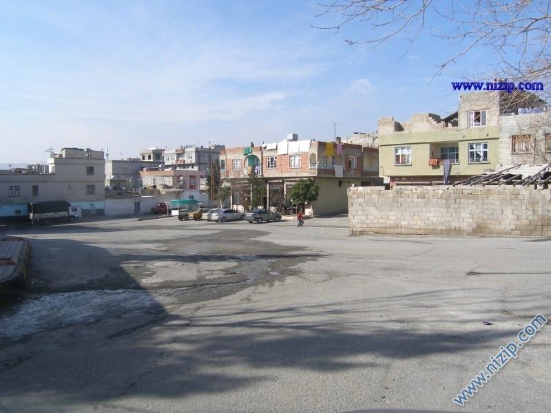 hammal şıho meydanı 