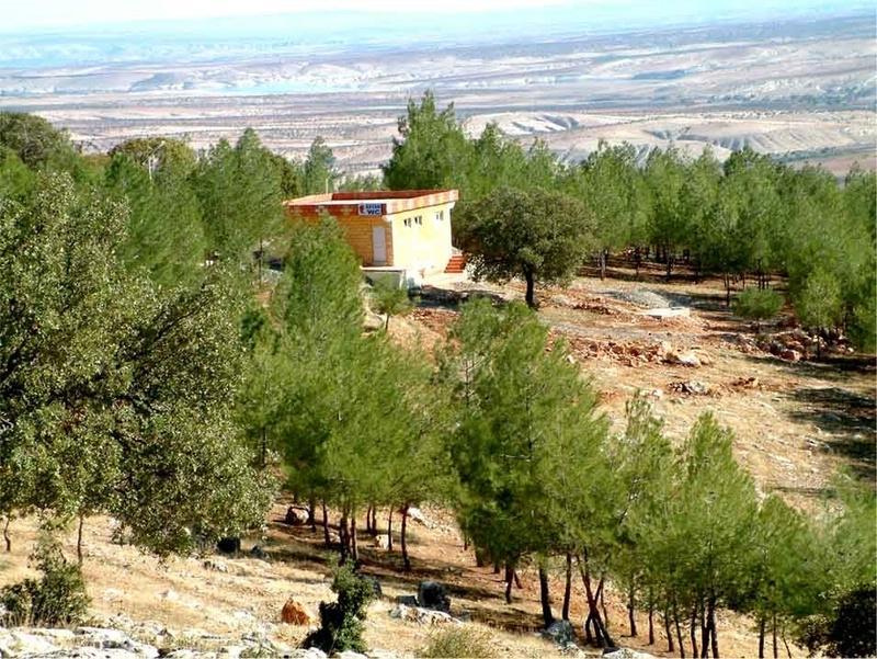 taşbaş 