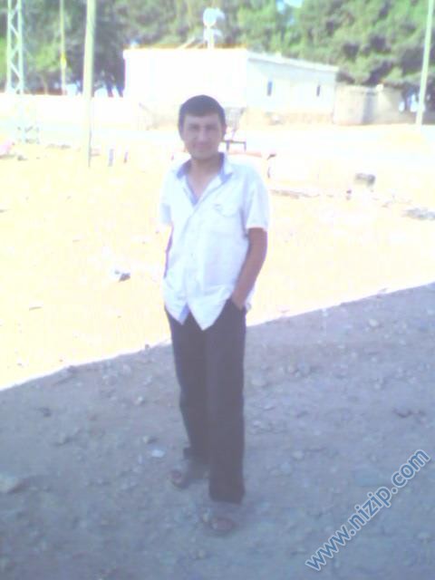 Ali 