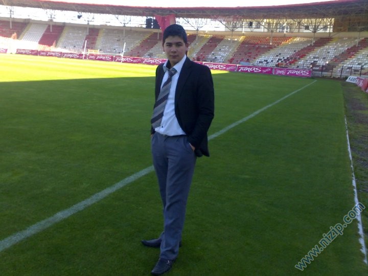 şahin 
