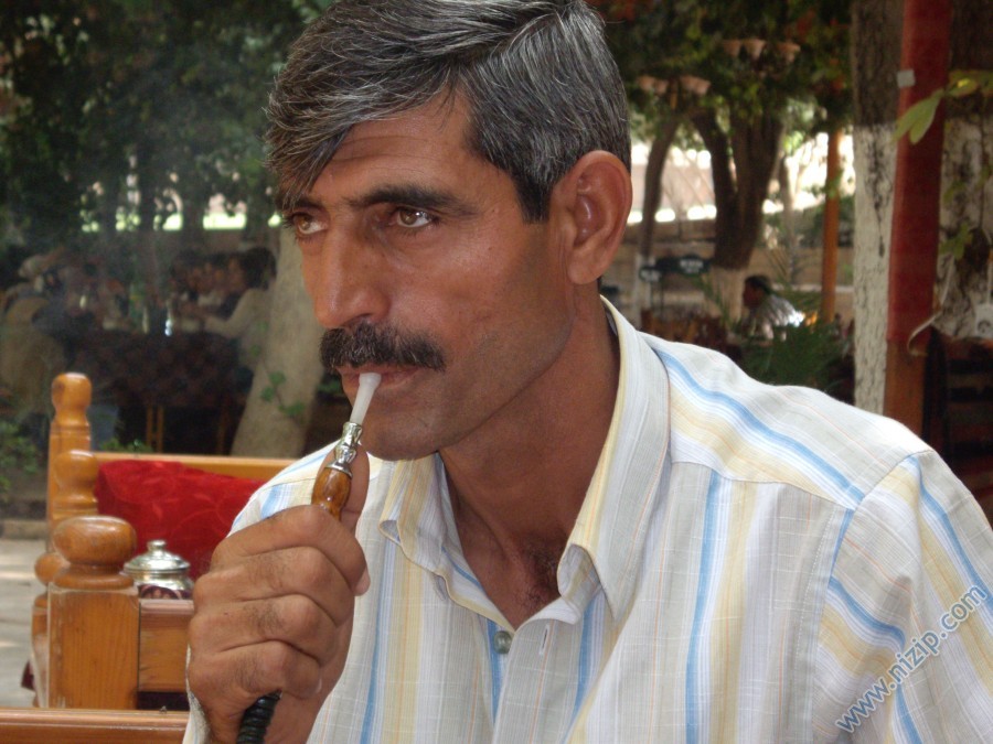 dayım 