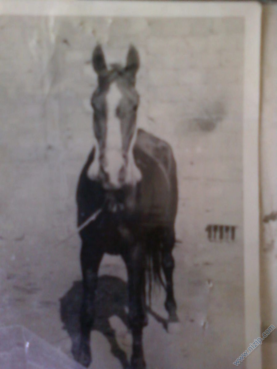 13513-Fotoraf0433 