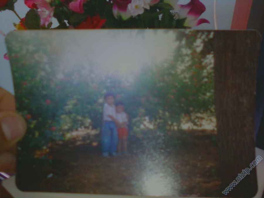 13513-Fotoraf0450 