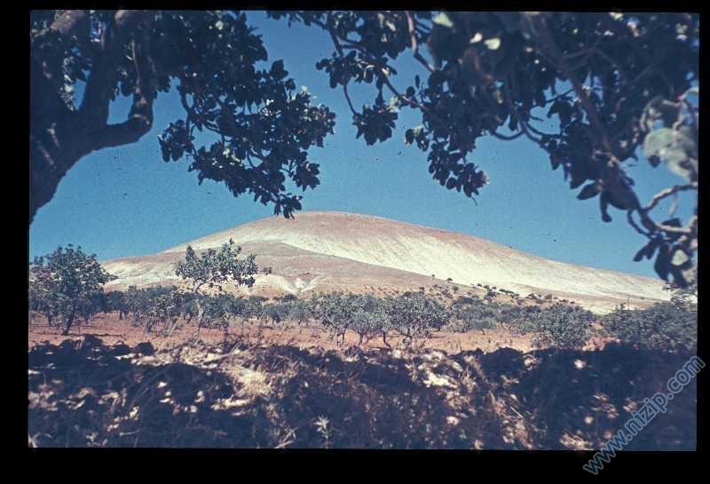 taş baş dağı 