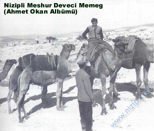deveci memeg ve develeri 