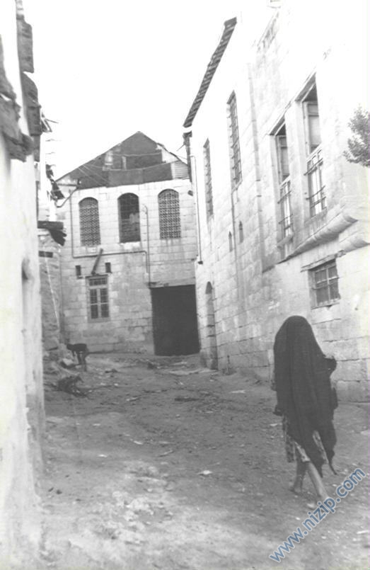 saha mahallesi 