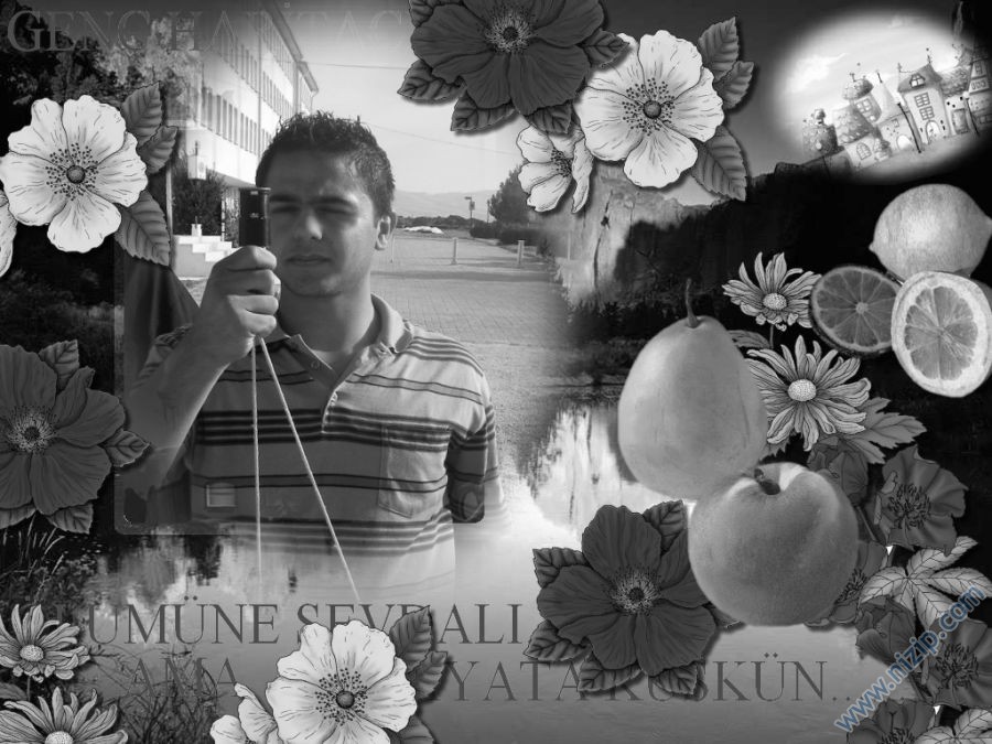 ahmet kurt 