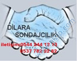 dilara sondajcılık 