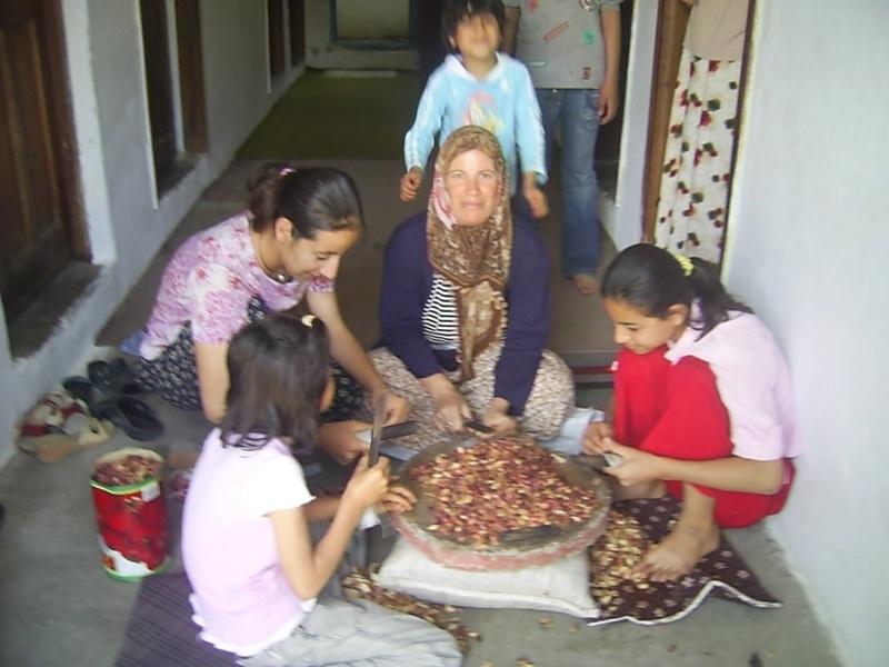 fıstık kırma 