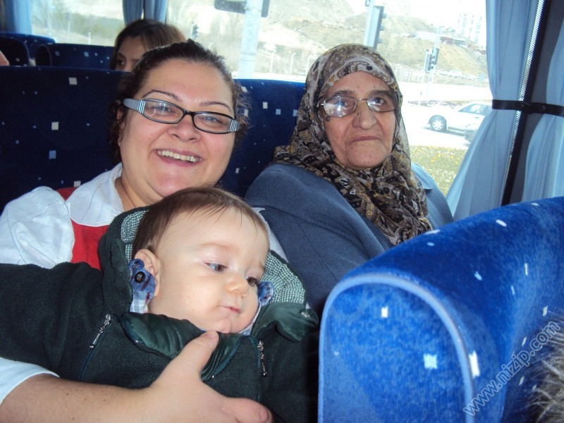 ANNEM1 