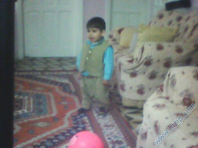 IMG0411A_239822 