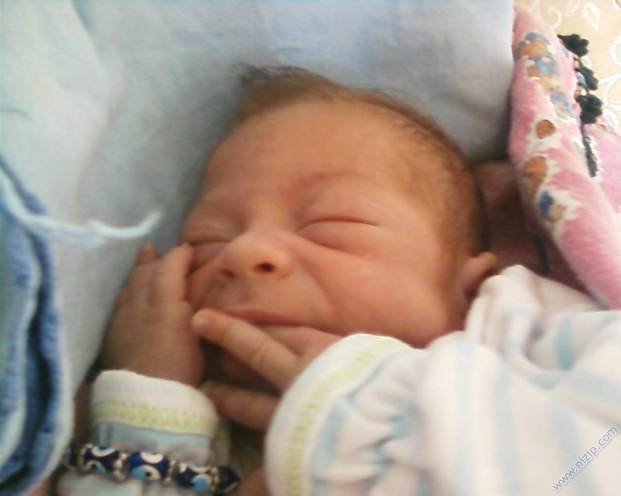 taylan özgür 