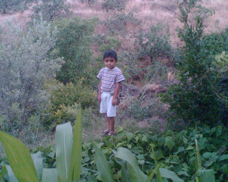 YUNUS EMRE ASLAN 