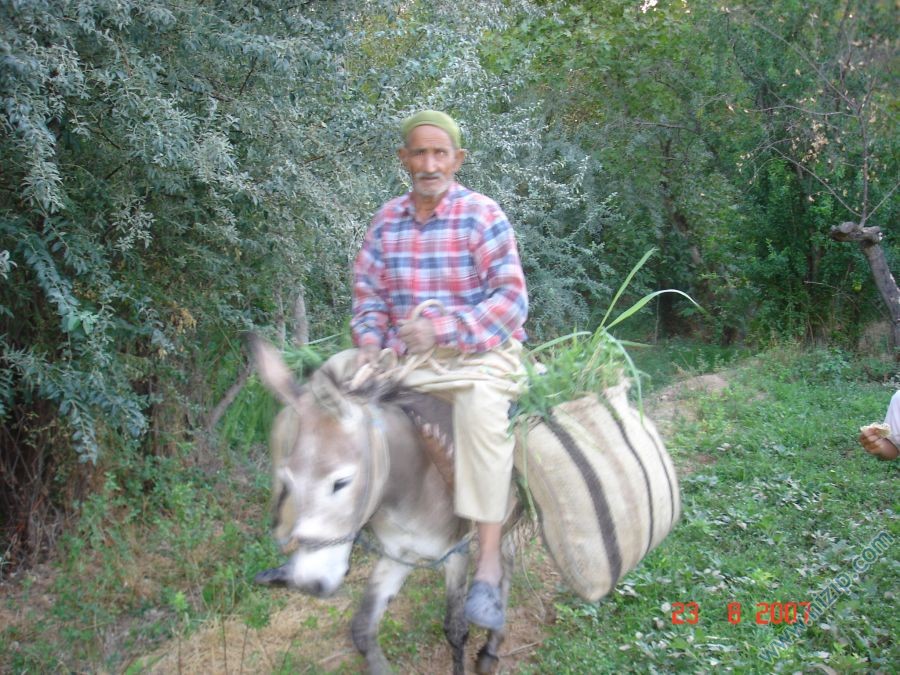 halit parlak 