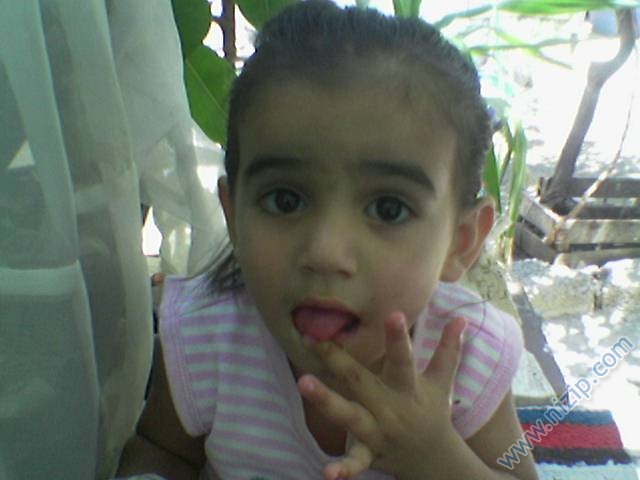 9091-Karam 
