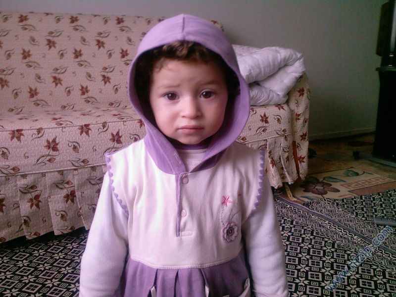 sibel 