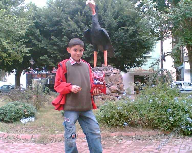 göktüğ 