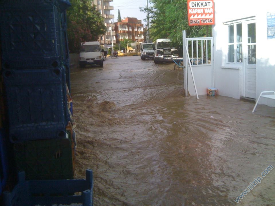 sebzehali_154544 
