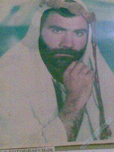erol 