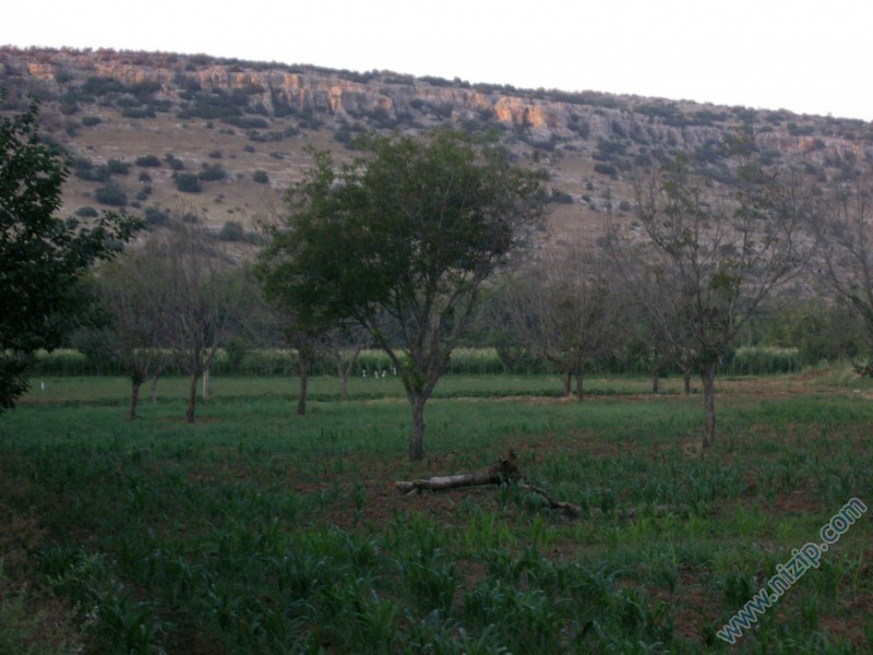 adaklı 