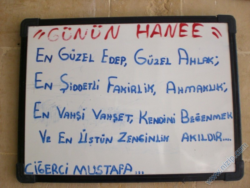 günün hanee Foto__14174__