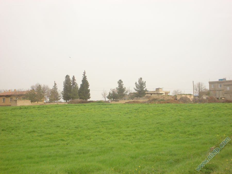 14683-DSC01525 