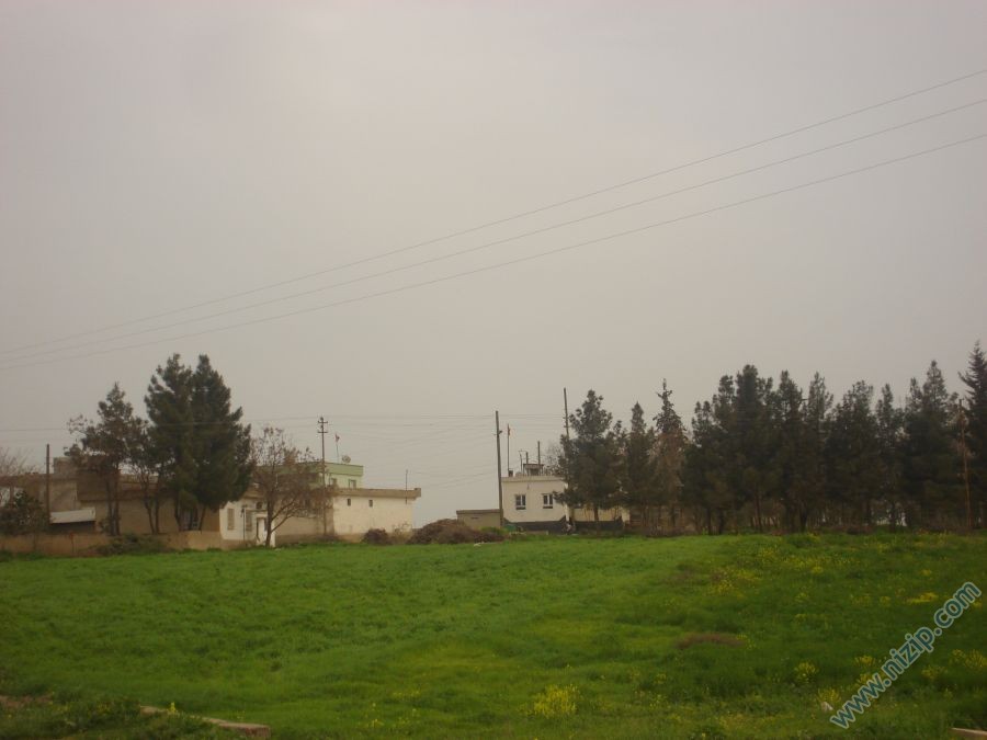 14683-DSC01524 