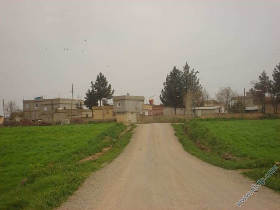 14683-DSC01523 