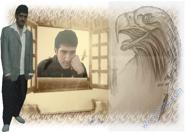talip 