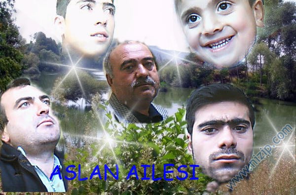 aslan ailesi 