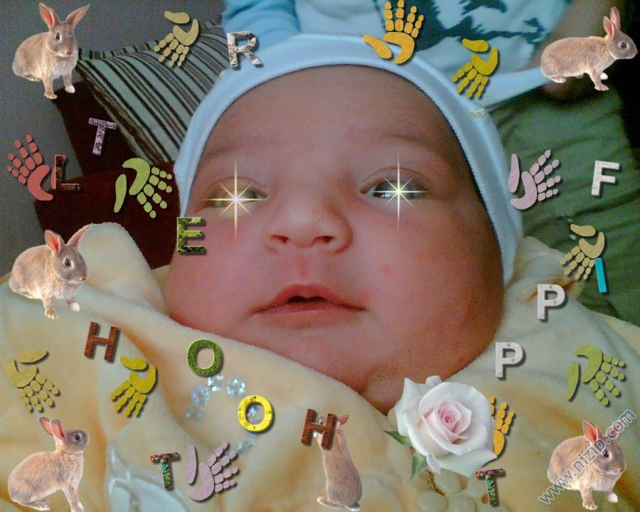 ZEHRA CAN 