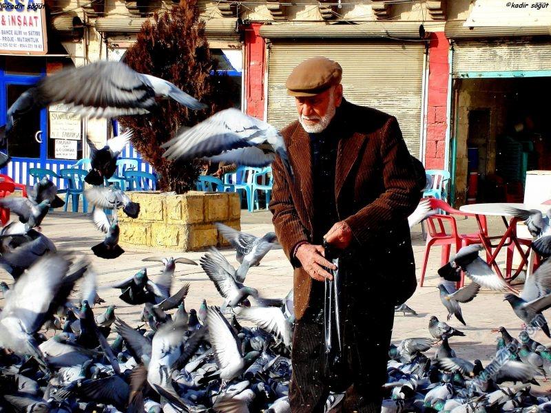 kuşlara yem veren amcamız 