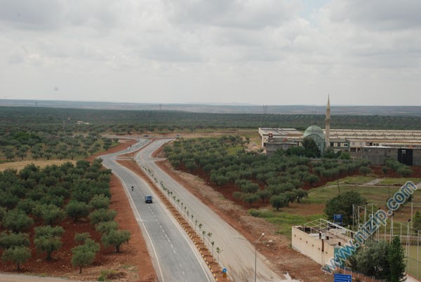 fıstık hali arkası 